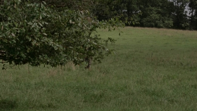 twd1002_1450.jpg