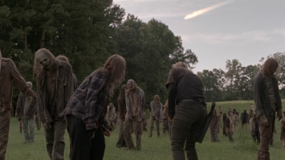 twd1002_1574.jpg