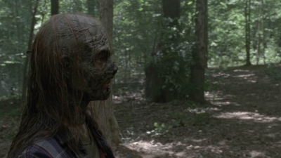 twd1002_1581.jpg