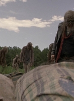 twd1002_1561.jpg