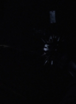 twd1003_1597.jpg