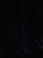 twd1003_1711.jpg
