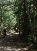 twd1008_1600.jpg