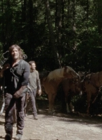 twd1008_1615.jpg