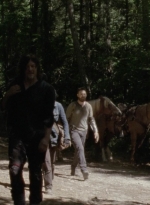 twd1008_1616.jpg