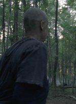 twd1009_1601.jpg