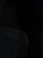 twd1009_2070.jpg