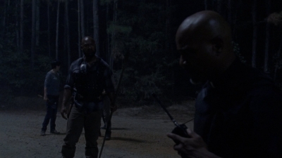 twd1010_1486.jpg