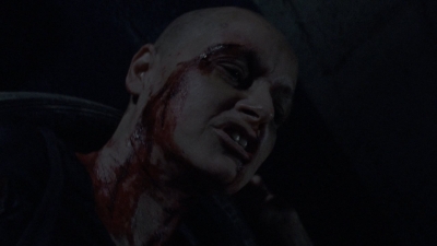 twd1010_1984.jpg