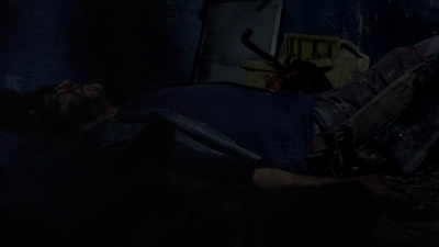 twd1010_2011.jpg