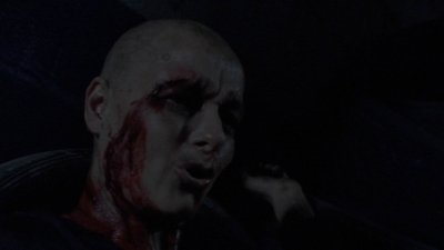 twd1010_2015.jpg
