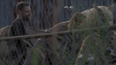 twd1010_2494.jpg