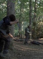 twd1010_0324.jpg