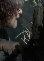 twd1010_0339.jpg