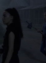 twd1010_1483.jpg