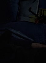 twd1010_2011.jpg