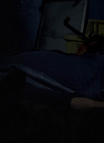 twd1010_2012.jpg