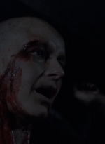 twd1010_2013.jpg