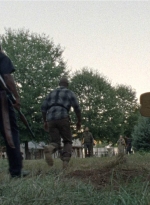 twd1010_2445.jpg