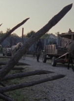 twd1010_2515.jpg