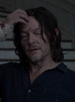 twd1011_2013.jpg