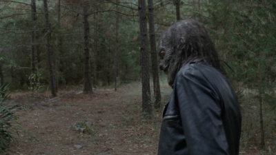 twd1012_0403.jpg