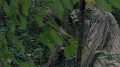 twd1012_0747.jpg