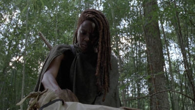 twd1013_1987.jpg