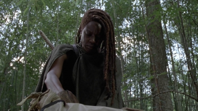 twd1013_1988.jpg