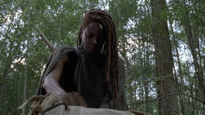 twd1013_1989.jpg