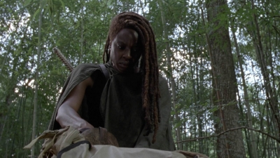 twd1013_1990.jpg