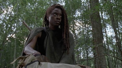 twd1013_1993.jpg