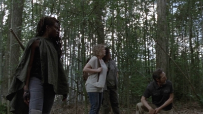 twd1013_1996.jpg