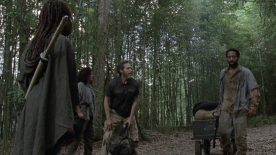 twd1013_1998.jpg