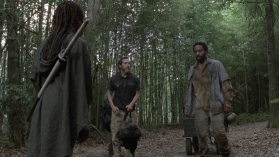 twd1013_1999.jpg