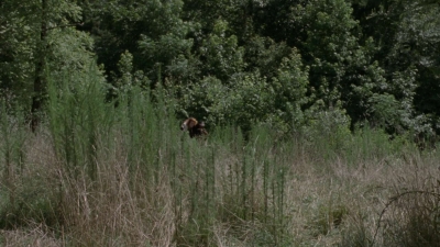 twd1013_2412.jpg