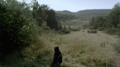 twd1013_2448.jpg