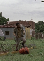 twd1013_0133.jpg