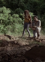 twd1013_0229.jpg