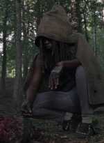 twd1013_1157.jpg