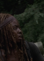 twd1013_1166.jpg