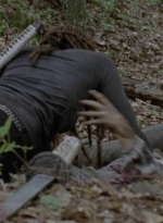 twd1013_1189.jpg