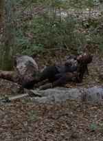 twd1013_1191.jpg