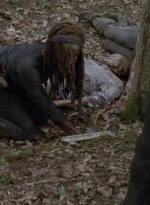 twd1013_1208.jpg