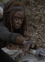 twd1013_1240.jpg