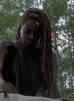 twd1013_1988.jpg