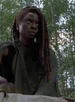 twd1013_1993.jpg