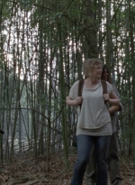 twd1013_1995.jpg