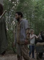 twd1013_2003.jpg