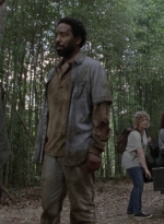 twd1013_2007.jpg